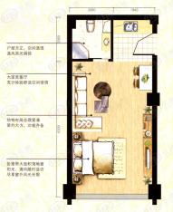 峰景湾高层公寓 1室1厅1卫户型图
