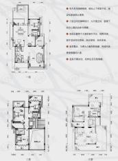 鲁能海蓝椰风独栋别墅 A4户型面积：383.11㎡户型图