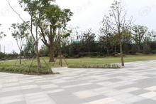 苏州绿地中心1号公馆社区实景