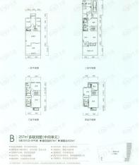 珠江东岸B多联别墅5房3厅5卫户型图